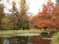 ＮＺ旅行は極端な思い出でした　2