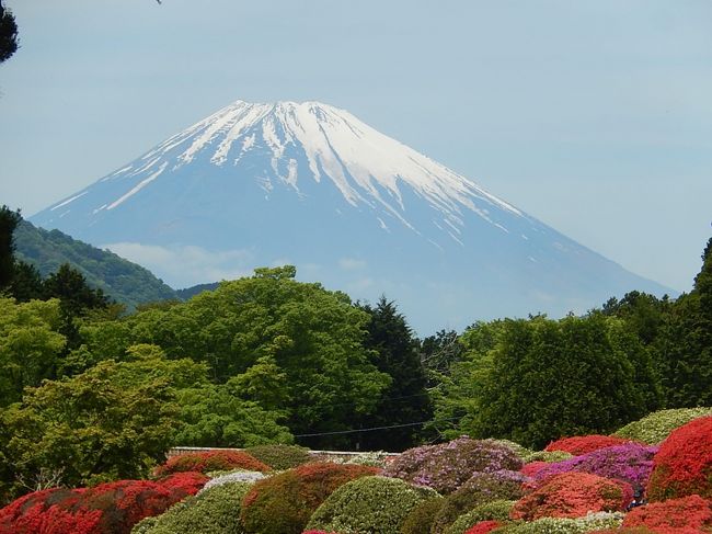 5月11日、午前11時半頃に箱根神社参拝を終えて、すぐ近くにある小田急山の上ホテルへ立ち寄りました。 目的はホテルから見られるつつじ園と富士山の絶景を見るためです。 つつじ園に入って十分に絶景を堪能したかったのですが、その後の予定があるために軽い昼食を取るだけにしました。<br /><br /><br /><br />*山の上ホテルの庭園入り口付近から見られた富士山の絶景