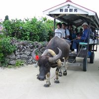 バースデーチケットで南の島へ　