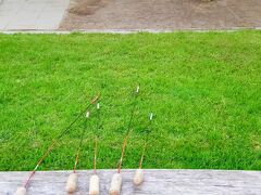 スイス人の日常茶飯事15  スイスの伝統スポーツ・ホルヌッセ