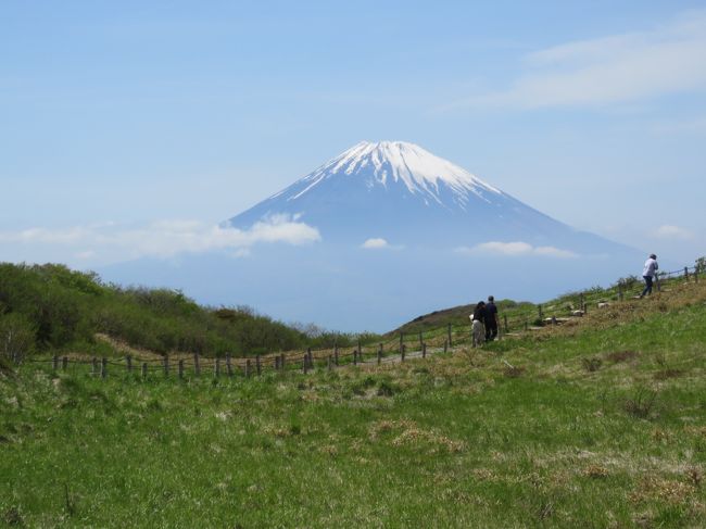 5月11日、箱根園に午後0時45分に到着後、駒ケ岳ロープウエイに乗り、駒ケ岳山頂駅まで行った。その後、箱根神社の元宮迄行き、そこから素晴らしい富士山を眺めることが出来ました。<br /><br /><br /><br />*元宮付近から見られた素晴らしい富士山