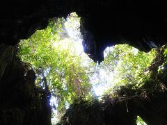 屋久島、縄文杉の巻き