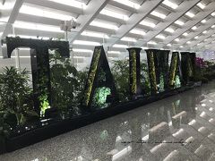 桃園の旅行記