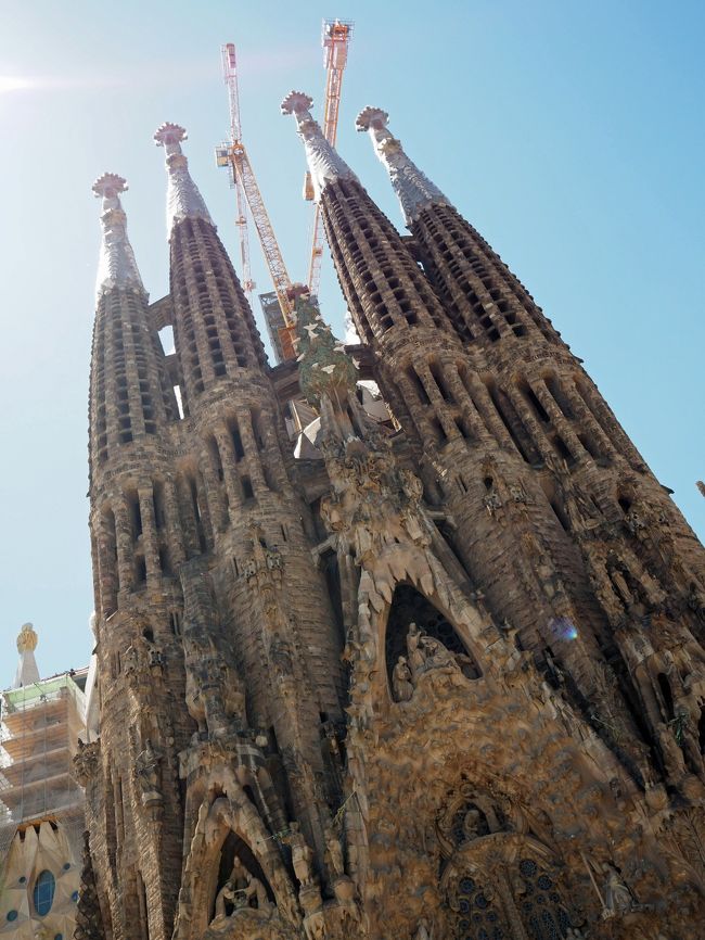 バルセロナ旅行記の後編です。<br />ずっと憧れの場所だったサグラダ・ファミリアを訪れその大きさに圧倒されるほどでした。その後はSFC修行のお仲間さんとお会いしたり市街をサイクリングで回ったりとバルセロナを満喫する旅となりました。