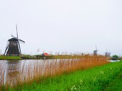 GW　オランダ・ベルギー旅（5日目　キンデルダイク、デン・ハーグ、デルフト）