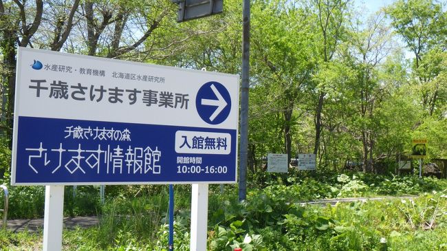 千歳駅前から支笏湖まで、貸自転車でサイクリング。2年前のサイクリングでは休館日だった「さけます情報館」に寄ってきました。