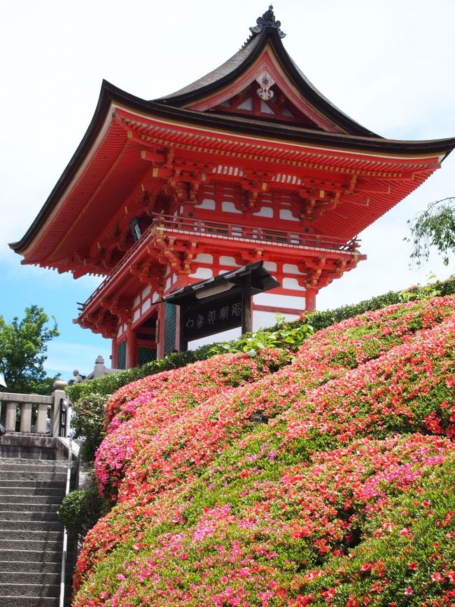 京都にて、寺社巡りをしてきました。<br /> 少し前から訳あって、学業成就・必勝祈願の寺社を参拝して御朱印を頂いております。前回京都で、金閣寺、北野天満宮、菅原院天満宮、東寺など有名どころを巡りました。今回は清水寺からスタートして、京都市内を左回りに、あまり観光客が行かない小さな場所も含めて8箇所参拝してきました。<br /> 先ずは、清水寺から八坂神社へ行きます。<br /><br />2018京都 ~学業成就、必勝祈願の神様巡り(2)<br />https://4travel.jp/travelogue/11363270<br />2018京都 ~学業成就、必勝祈願の神様巡り(3)<br />https://4travel.jp/travelogue/11363274