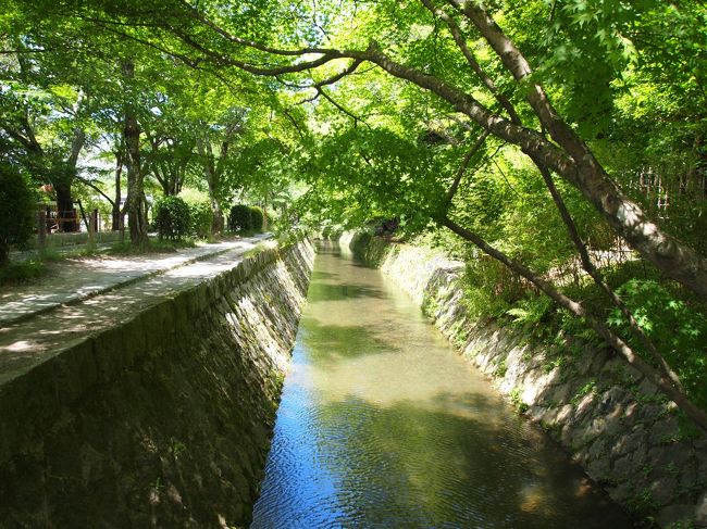 京都にて、寺社巡りをしてきました。<br /> 少し前から訳あって、学業成就・必勝祈願の寺社を参拝して御朱印を頂いております。前回京都で、金閣寺、北野天満宮、菅原院天満宮、東寺など有名どころを巡りました。今回は清水寺からスタートして、京都市内を左回りに、あまり観光客が行かない小さな場所も含めて8箇所参拝してきました。<br /> ここからは、京都市の東側の静かな寺社を巡っていきます。<br /><br />2018京都 ~学業成就、必勝祈願の神様巡り(1)<br />https://4travel.jp/travelogue/11363254<br />2018京都 ~学業成就、必勝祈願の神様巡り(3)<br />https://4travel.jp/travelogue/11363274
