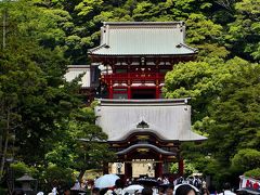 問柳尋花 鎌倉紀行①鶴岡八幡宮