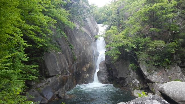 2018年のGWは家族で西東京・山梨・埼玉へ行ってきました(^_-)-☆<br /><br />渋滞にあまりハマることなくスムーズに観光できました。。<br /><br />よろしければご覧ください。。☆<br />