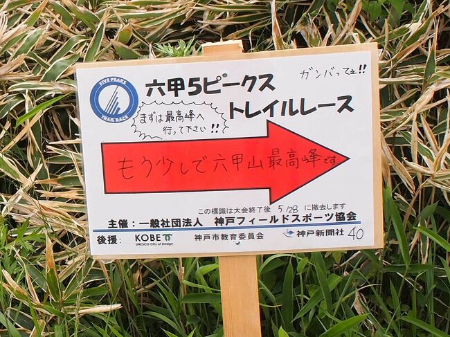 もう5月も終盤、急がないと梅雨に入っちゃうーと、六甲山へ登ることにしました。<br />王道コースは芦屋~ロックガーデン~六甲山最高峰ですが、またもやはなままお得意のお手軽コースで有馬から上ってみます。