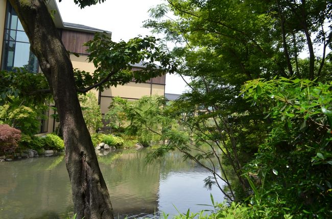 京の都で勤めて二十有四年、「観光地はいつでも行ける」という思い込みで、決まった所しか巡りません。清盛公のご長男、平の重盛公が御造成になった名園、積翠園を眺めながらの贅沢なお昼でした。お隣の京博、今は平常展もなしで庭だけの拝観でした。