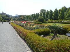 新宿御苑・神宮外苑の初夏と冬　①