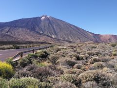 テネリフェ島の旅行記