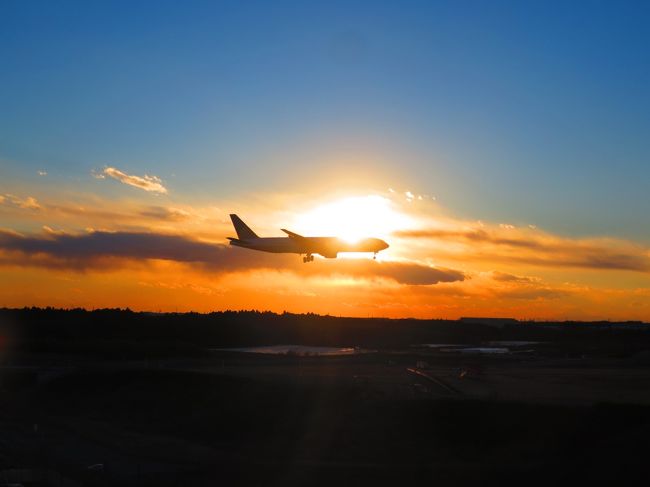 フィンランド8日間の旅8日目【帰国、航空科学博物館編】<br />少々長過ぎる乗り継ぎを利用し<br />航空科学博物館へ。<br />いっそ成田空港の中に、<br />博物館を作ってほしいなー!<br /><br />-----------------------------------------<br /><br />ご覧いただきありがとうございます。<br />旅とネコを愛するゆーぢよと申します。<br /><br />★旅先★<br />フィンランド:ヘルシンキ・ロバニエミ<br />エストニア:タリン<br /><br />★旅の目的★<br />雑貨探訪&オーロラを見る!<br /><br />★目的地までの手段★<br />飛行機:日本航空<br /><br />★ゆーぢよ構成員★<br />オットゆんゅ(´・ω・`)<br />ツマちっち(・∀・)<br /><br />-----------------------------------------