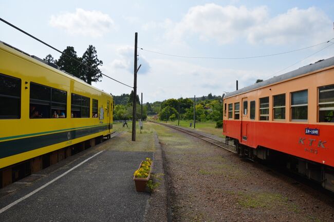 　朝、ＪＲの特急「新宿さざなみ１号」に乗り込み、内房線五井駅へ。<br />https://youtu.be/uaqEdNlAI2Q<br />https://youtu.be/IfXL7yXwxMk<br />　おばちゃんの売る弁当も気になったのですが、まずは「房総横断記念乗車券」を購入しました。何の記念？と思ったのですが、関東の駅百選に小湊鐵道の上総鶴舞駅といすみ鉄道の大多喜駅が認定された記念だそうです。２線を通しで乗れて途中下車も可能で１,７００円とお得な切符でした。但し、一方向へしか進めません。乗り放題券ではないので戻って下車することは出来ません、ご注意を！<br />　小湊鐵道のキハ２１３は、重厚なエンジン音を響かせて五井駅を発車しました。<br />https://youtu.be/YVlDt2uIw7E<br />車内は旧国鉄の香りがします。扇風機にはＪＮＲの文字が！ 冷房も取り付けられているのですが、５月末の気候にはハイパワー過ぎるのか少し寒いくらいでした。水田を左右に見ながらゆっくり進みます。途中３分停車の里見駅では、ホームでさまざまなものが売られていました。「チーズケーキ１５０円！」の掛け声に反応して思わず購入。甘いジャムが掛けられたっぷり入っていました。<br />　予想通り終点１つ手前の養老渓谷駅で乗客の多くは下車してしまいました。トンネルを抜けると小湊鐵道の終点上総中野駅に到着です。粟又の滝へはここからもバスが出ていました。<br />　ここはいすみ鉄道の始発駅であり乗り継げるのですが、必ずしも連絡が良いわけではありません。ただ、待ち時間が少しあるくらいの方がのんびりした駅周辺の空気を味わえる、という粋なはからい？だと思うことにしましょう。事実３０分超の待ち時間はあっという間に過ぎて、乗車する列車が入線しました。<br />　鳥塚社長が就任されて以来、攻めている鉄道会社です。菜の花色の車両が風景によく似合います。本社のある大多喜で下車。本多氏の名城で知られますが、街並みも趣があります。いすみ鉄道は社員の皆さんが支えていることを強く感じます。列車に向かって手を振ってくれる光景が当たり前のように馴染んでいます。支えているといえば、県立大多喜高校の生徒さんたちが乗ってきて、車内はちょっとした通学ラッシュ。終点の大原駅まで楽しそうにおしゃべりしながらの移動です。<br />　大原駅はＪＲ外房線に接続しています。駅弁とビールという黄金コンビが買えない失意のうちに、特急「わかしお１６号」に乗り込み、帰途についたのでした・・・。<br />https://youtu.be/P-RcSOIt-iU<br />https://youtu.be/Qvw3F8WI5Tc<br />https://youtu.be/7dF17i9OFsw<br />https://youtu.be/eTS2_7PE1Do<br />https://youtu.be/CvH3D9938Rw<br />https://youtu.be/Csr81xWKYic