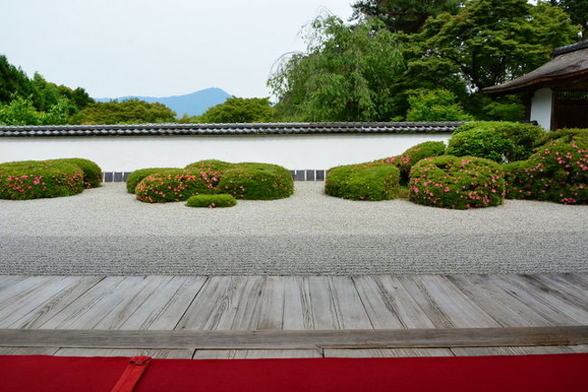 久しぶりにしょうざん庭園まで 18年 今出川 北大路 北野 京都 の旅行記 ブログ By 鴨川の夕立 さん フォートラベル