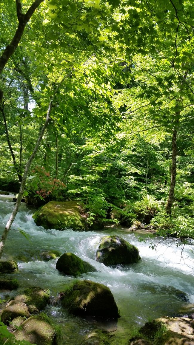 はじめての東北旅行2日目<br />渓流での森林浴や十和田湖に立ち寄ります<br /><br /><br />発荷峠→奥入瀬渓流→十和田湖→乙女の像→秋田共生パレス→駒ヶ岳グランドホテル<br /><br />