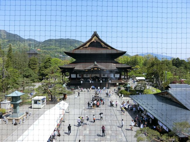 水芭蕉咲く戸隠・長野2泊3日　（3日目）長野善光寺