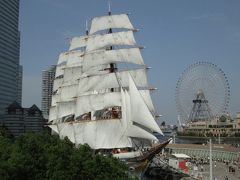 初夏の帆船日本丸・横浜みなと博物館見学と大桟橋～山下公園散歩