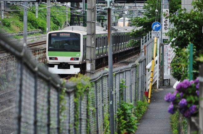 山手線を歩いて一周したのですが。<br /> 全29駅を出来るだけ短い距離で歩こうと、その事に集中し、線路を走っている電車を見る時間も、気持ちの余裕もありませんでした。<br /> それで、今度は山手線とその沿線を走る電車のビュースポットを巡ってみるかと。<br /> 改めて歩いてみようと思いました。<br /> <br /> 駒込駅から池袋駅です。