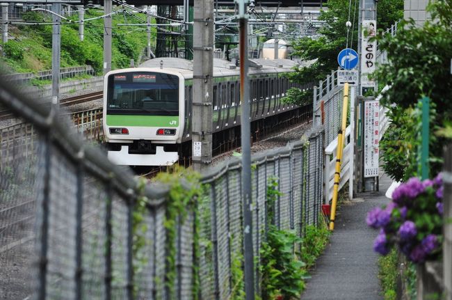 山手線を歩いて一周したのですが。<br />　全２９駅を出来るだけ短い距離で歩こうと、その事に集中し、線路を走っている電車を見る時間も、気持ちの余裕もありませんでした。<br />　それで、今度は山手線とその沿線を走る電車のビュースポットを巡ってみるかと。<br />　改めて歩いてみようと思いました。<br />　<br />　駒込駅から池袋駅です。