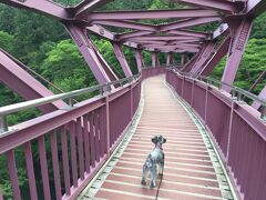 ワンコと一緒！加賀温泉郷へGO！後編～山中温泉よしのや依緑園