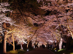 GW後半も函館方面桜めぐり（室蘭⇒黒松内⇒北檜山⇒八雲⇒森⇒北斗⇒函館）