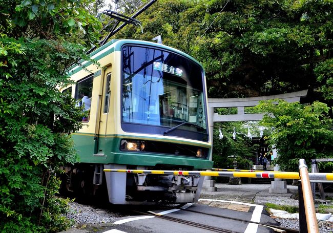 鎌倉と言えば、レトロ感を漂わせる「江ノ電」が外せません。神社仏閣も古都 鎌倉の醍醐味ですが、ここでしか体験できないのが「江ノ電」です。<br />藤沢～鎌倉駅間のたった１０ｋｍの運行ですが、年間乗客数は１７００万人に達し、ローカル鉄道では珍しく安定的な黒字体質です。車窓に映るどこか懐かしい街並とレトロな「江ノ電」の姿がベストマッチし、非日常的な魅力的な空間を生み出しています。山あり海あり、人の暮らしありと、変化に富んだ景色が車窓を流れていきます。その魅力を更に効果的にしているのが、カーブです。カーブの先に様々な懐かしい風景が忽然と現れては過ぎていきます。実際に乗ってみると、確かにノスタルジーとドキドキ・ワクワクが感じられます。<br />今回は、「街ある記」編として、「江ノ電」を乗り継いで要所を訪ねてみました。