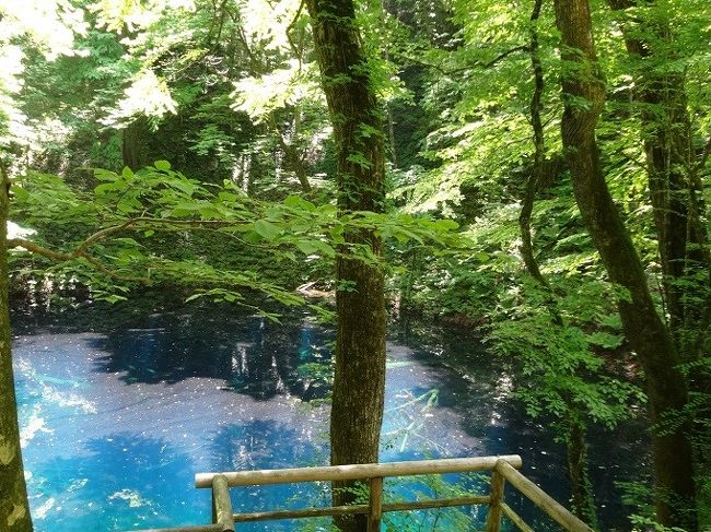 秋田県、どこかにマイルで行くことになりました。行ってみたら、とても良かったので、また行きたいです。