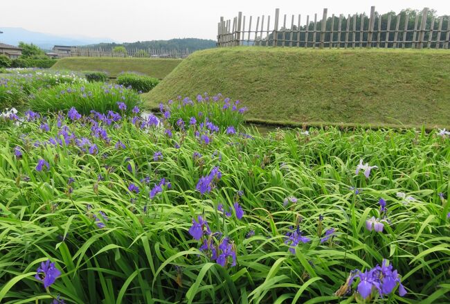 2018春、謙信公所縁の地(3/6)：春日山城跡ものがたり館、室内展示品、土塁、監物堀