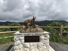 梅雨入り直後の美ら海へ　小浜島から西表島２　レンタカーで西表島を一巡り＝2018年５月