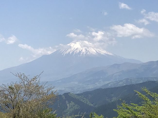 5月の連休の初日に神奈川の大野山へハイキングに行きました。早い時間に行きましたがわりとたくさんの人が集まっていました。<br /><br />谷峨駅をスタートして橋を渡って坂道を登って行きます。歩きながら横を見ると富士山がとても近くに見えました。<br /><br />途中にトイレもありわりと急な坂を登って行きます。獣除けの柵があるので柵を開けて進みました。柵は開けたら必ず締めましょう。<br /><br />山頂が近づくとあまり日陰がないので、とてもいいお天気の中ジリジリ日差しを浴びながら、富士山を見ながら登って行きました。<br /><br />山頂からはさらによく富士山が見え、牧場の名残も広がっていました。<br /><br />おにぎりとおやつを食べのんびりしてから下山。山北駅へ向かいました。<br /><br />かなり急な丸太の階段を降りて、谷側が斜めになっている山道を下りました。そしてコンクリートの道に出たらずーっと歩き続けることに。このコンクリートの道がかなり長くて気持ち的にきつかったです。<br /><br />山北駅の近くには温泉ではありませんが日帰りの湯があるので汗を流してスッキリできました。<br /><br />長いコンクリートの道歩きはきついですが、富士山を見ながら登れる楽しいハイキングになりました。