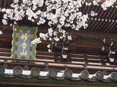 関西散歩記～2018 京都・大山崎町編～