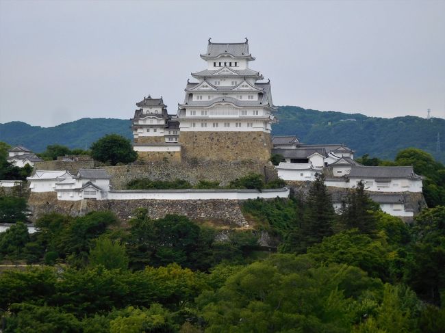 　ツアーで１日目は竹田城を見学しました。<br />その後は姫路城近くのホテルに移動。<br /><br />　姫路のホテルには１７時１５分にチェックインをしました。<br />時間があるので姫路城周辺を散歩してみました。<br /><br />　何年か前に白塗りになった姫路城を見に来ていましたが、城見台公園、姫山公園は歩いていないので<br />そちらも歩いて見ました。<br />自然が豊かです。