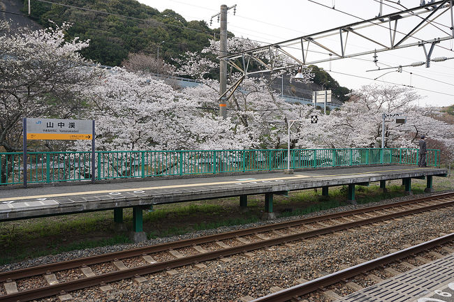 春の18切符を使用して、桜を追いかけてみました。<br />京都スタートの和歌山まで。<br />1日で今年の桜を満喫しました(笑)。<br />画像は、ソメイヨシノ＠JR山中渓駅です。<br /><br />過去の大阪・阪南市散歩記～<br /><br />関西散歩記～2015 大阪・阪南市編～<br />https://4travel.jp/travelogue/11087310<br /><br />関西散歩記～2014 大阪・阪南市編～<br />http://4travel.jp/travelogue/10943627<br /><br /><br />大阪まとめ旅行記<br /><br />My Favorite 大阪 VOL.5<br />https://4travel.jp/travelogue/11361830<br /><br />My Favorite 大阪 VOL.4<br />http://4travel.jp/travelogue/11242529<br /><br />My Favorite 大阪 VOL.3<br />http://4travel.jp/travelogue/11152287<br /><br />My Favorite 大阪 VOL.2<br />http://4travel.jp/travelogue/11036195<br /><br />My Favorite 大阪 VOL.1<br />http://4travel.jp/travelogue/10962773