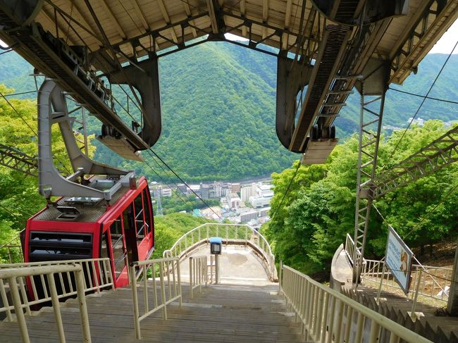 鬼怒川温泉は、江戸時代に発見され、日光の寺社領であったことから、日光詣に訪れた僧侶や大名のみ入ることを許されたという由緒ある温泉です。<br />明治時代に一般開放された後、次々に新源泉が発見され、次第に大型温泉地として発展していき、鬼怒川渓谷沿いに大型のリゾートホテルや旅館が連なるようになりました。<br />バブル崩壊、世界金融危機、東日本大震災等の影響で、かつて程の賑わいはなくなってしまいましたが、現在も東京の奥座敷と呼ばれています。<br /><br />前日は、駅前広場でSL大樹の方向転換を見学し、鬼怒川に架かる橋のたもとに設置された6体の鬼の陶像を巡り、駅から徒歩２分程の場所にある「旅の宿 丸京」に宿泊しました。<br /><br />2日目は、チェックアウト後に鬼怒川温泉ロープウェイ おさるの山とその隣にある藤原町護国神社・温泉神社に寄ってから、特急スペーシアを利用して帰宅しました。<br /><br />（1日目の旅行記）<br />新緑の鬼怒川温泉1泊2日の旅①　SL大樹の転車見学と七福邪鬼めぐり<br />https://4travel.jp/travelogue/11358290<br />