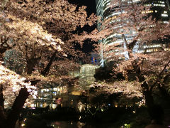 仕事帰り六本木でお花見散歩(2018年3月)