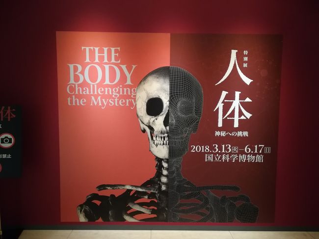 Instagramで偶然知った国立科学博物館の特別展。<br />人体に関するもので興味が沸いたので直近の休日を利用して行ってきました。<br />ついでに鎌倉観光も少し。