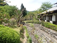 群馬・小平の里201805春＜鍾乳洞と湿生植物園＞