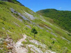 花の山　伊吹山で天国を経験