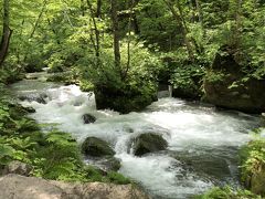 新緑の東北ハイライトツアー2泊3日の旅　2日目　奥入瀬渓流　十和田湖