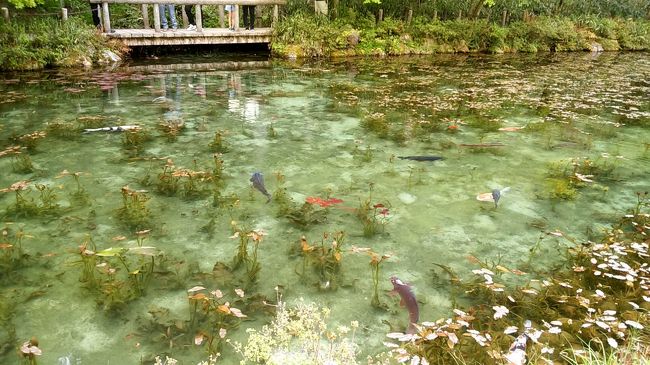 GWのお出かけ、モネの池とその周辺。