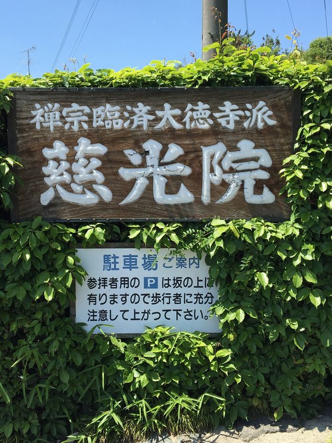 臨済宗大徳寺派の禅寺「慈光院」茶道の流派石州流を受け継いでいるお寺です。庭園を眺めながらお薄をゆったりと頂きます。日頃は見れない本堂の中を特別に拝観させて頂き、鳴き龍をじっくりと鑑賞させて貰いました。