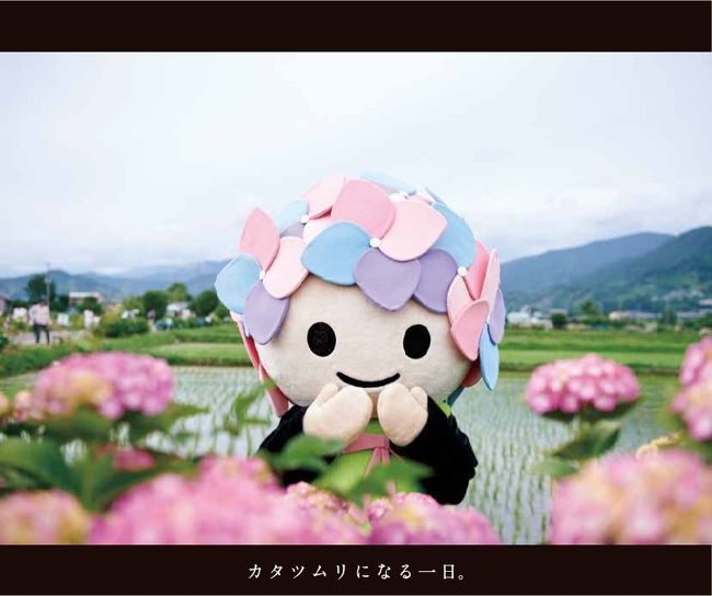 あじさいまつり開催直前の開成町を散策しました。<br /><br />平成30年のあじさいまつりは6月9~17日です。<br /><br />公式HPはコチラ http://kaisei-ajisai.com