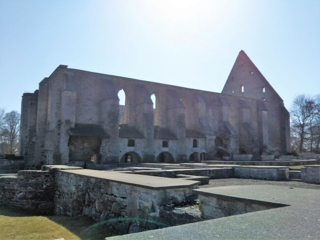 旅行二日目、まだタリン郊外を観光しています。<br /><br />　この後はPirita kloostri varemed（ピリタ修道院跡）とピリタ港を散策し、タリンへ戻ってホテルにチェックインします。<br /><br />　修道院跡は15世紀に建てられた尼僧院の廃墟。16世紀には廃墟になったとのことですが、数百年廃墟だったとは思えない保存状態です。聖ビルギッタ修道会が現在もその隣にあり、その管理を行っています。<br />　ピリタ港は1980年の夏のオリンピック（モスクワオリンピック）でヨット競技が行われた場所です。モスクワオリンピックは日本を含む多くの西側諸国がボイコットしたため、日本ではあまりなじみがないですね。