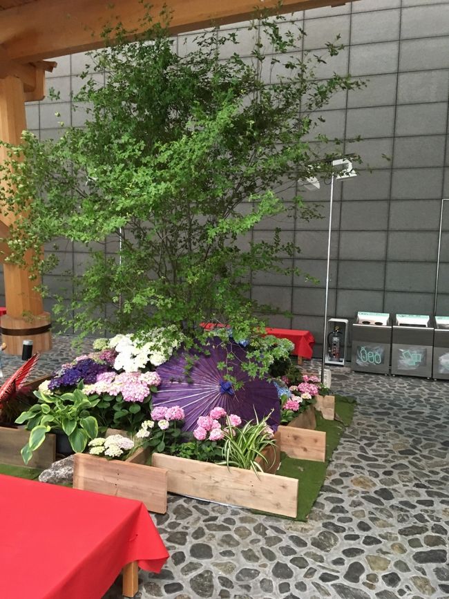 羽田神社と穴守稲荷神社へ、お参りと御朱印をいただきにいざ出発!<br />羽田の初夏を感じさせる自然と、羽田の人々の優しさに触れて…心の充電完了です~。