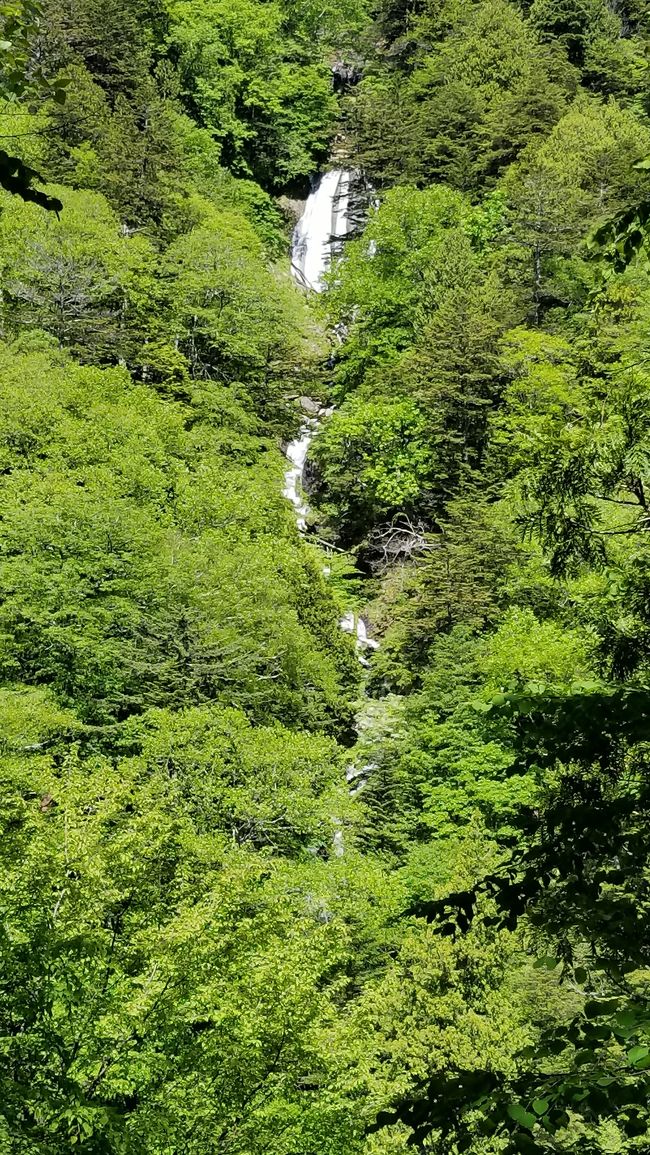 今年の４月に日帰りで加仁湯に行き、とても気に入ったため、今回は泊まりで新緑の加仁湯に行ってきました。温泉マニアの大学&amp;会社の友人と一緒でしたが、せっかくですので、あちこち近辺の温泉をはしご&amp;新緑のハイキングを楽しんできました。<br /><br />２日目は、朝から快晴！　加仁湯を出た後、ヒナタオソロシの滝までのハイキングをしました。新緑の中、清々しい空気を吸いながらのハイキングは最高でした。ハイキングの後は日光澤温泉に入りましたが、加仁湯に勝るとも劣らない素晴らしいお湯でした。その後、間欠泉ありジビエ料理ありで、最後は北温泉で締めました。この日も盛りだくさんの１日でした。<br /><br />