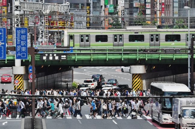 山手線を歩いて一周したのですが。<br /> 全29駅を出来るだけ短い距離で歩こうと、その事に集中し、線路を走っている電車を見る時間も、気持ちの余裕もありませんでした。<br /> それで、今度は山手線とその沿線を走る電車のビュースポットを巡ってみるかと。<br /> 改めて歩いてみようと思いました。<br /> <br /> 池袋から代々木です。
