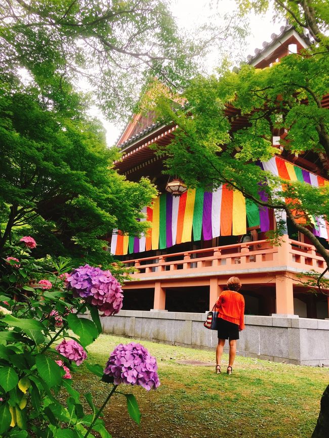 2018年6月 鴨川納涼床を楽しむ京都 日帰り旅 智積院 の紫陽花 イル パッパラルド でランチ よーじやカフェ でまったり イカリヤ食堂 の納涼床でディナー 京都駅周辺 京都 の旅行記 ブログ By ひとぴちゃんさん フォートラベル 2018年6月 鴨川納涼床を楽しむ京都 日帰り旅 智積院 の紫陽花 イル パッパラルド でランチ よーじやカフェ でまったり イカリヤ食堂 の納涼床でディナー 京都駅周辺 京都 の旅行記 ブログ By ひとぴちゃんさん フォートラベル